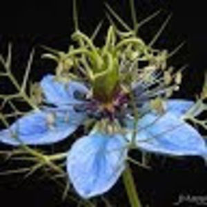 Meet your Posher, Joann